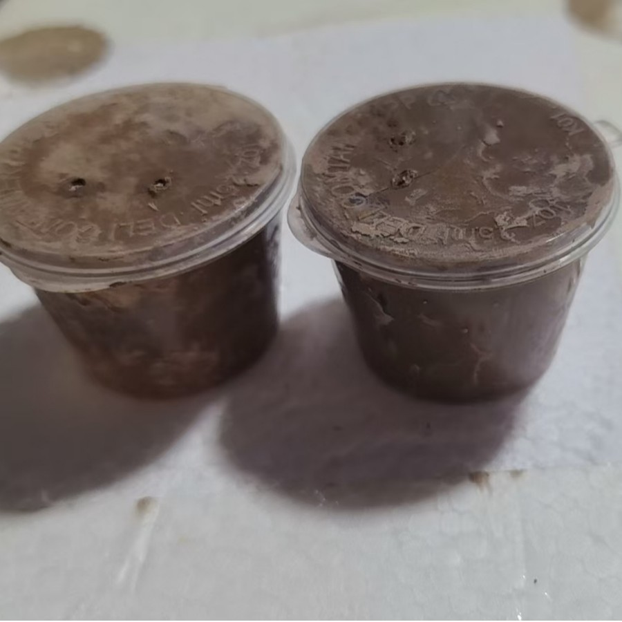 Chili Crab, Bean Crab, Wholesale Mud Box Delivery, Aquarium Stationery Store Stall Special Dropshipping