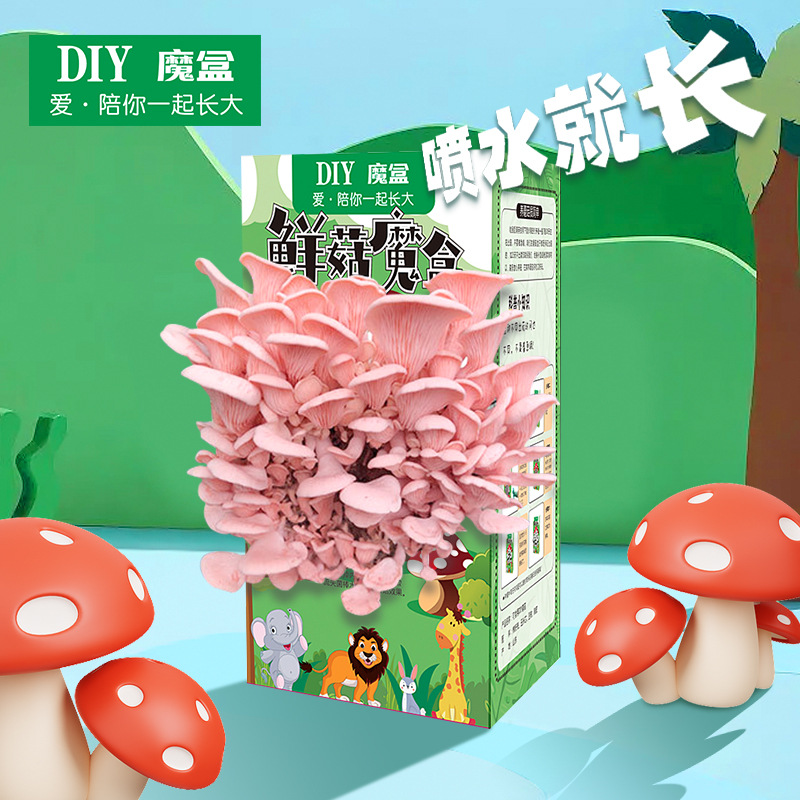 Mushroom Box Fungus Bag Fungus Stick Planting Home School Award Gift Kindergarten Kitchen Plant Blind Box Fleshy Welfare