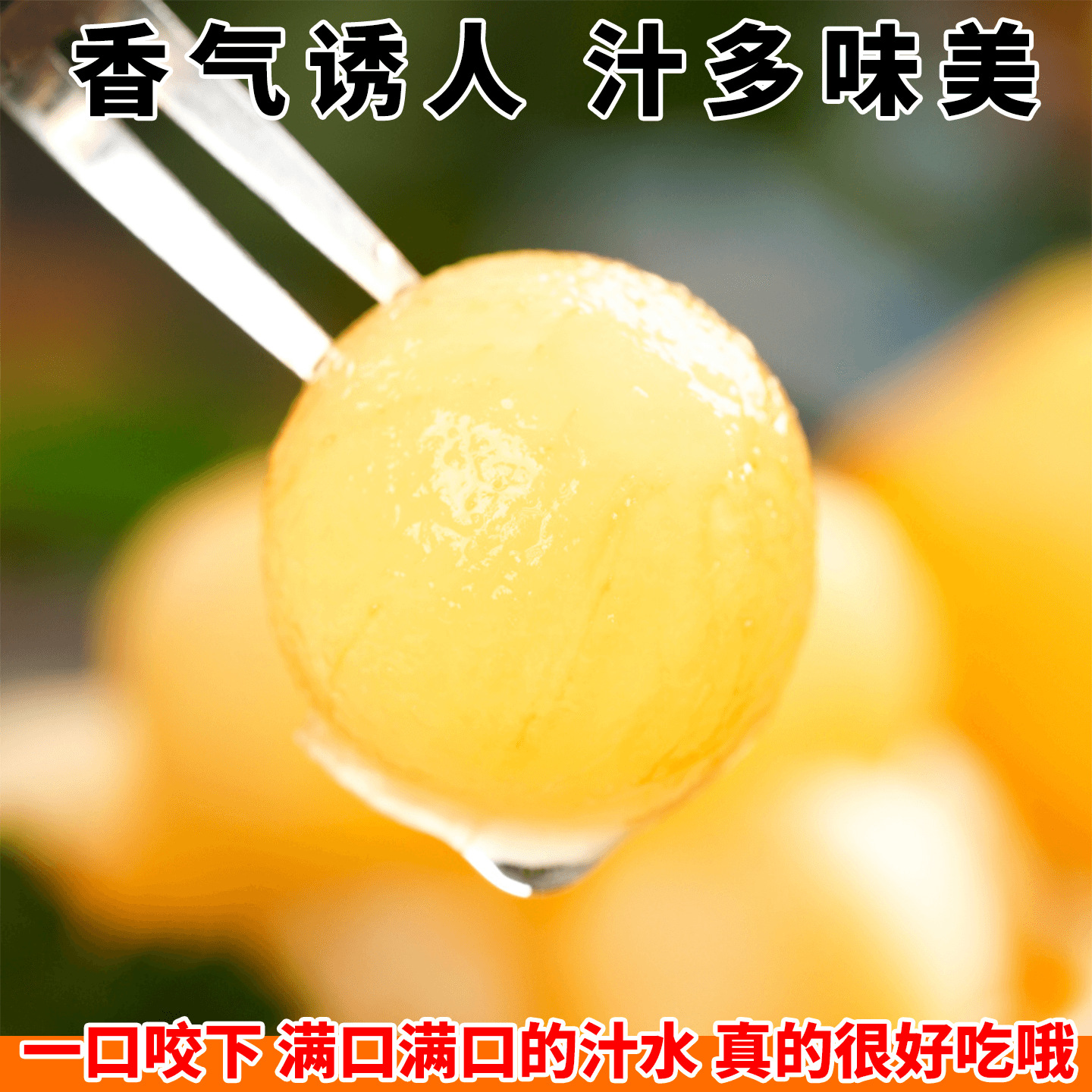 2025 Fresh Jicama, Freshly Picked Seasonal Fruits, Sweet, Soft and Waxy, Farm-Grown and Shipped Directly from the Place of Origin