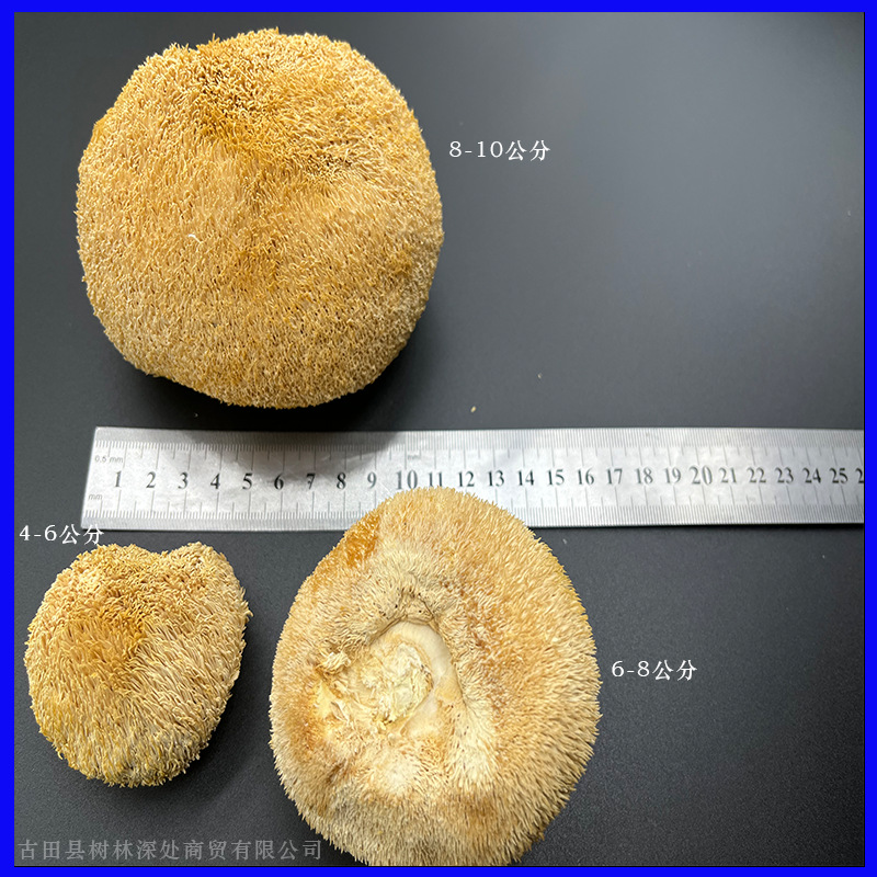 [Собственная фабрика] Гриб обезьяний, 500г, оптовая продажа