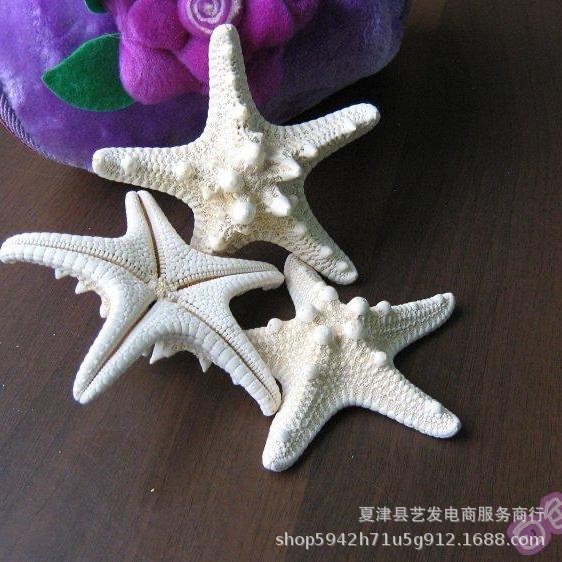 Natural Shells, Conch Shells, Five-Fingered Steamed Buns, Starfish, Creative Mediterranean Home Decor, Refrigerator Magnets, Materials Manufacturer Wholesale