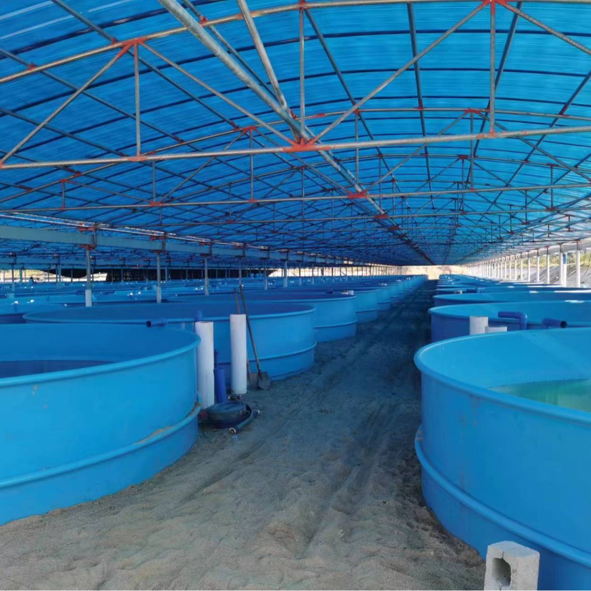 On-Site Customized Pp Pe Breeding Pool Is Environmentally Friendly, Non-Toxic, Corrosion-Resistant and Has a Long Service Life