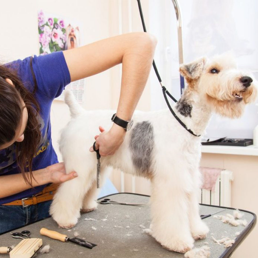 Pet Beauty Table Small Hook Nylon Hanging Rope Pet Beauty Table Hanging Rope Bath Shape Hair Blowing Rope Length 55cm