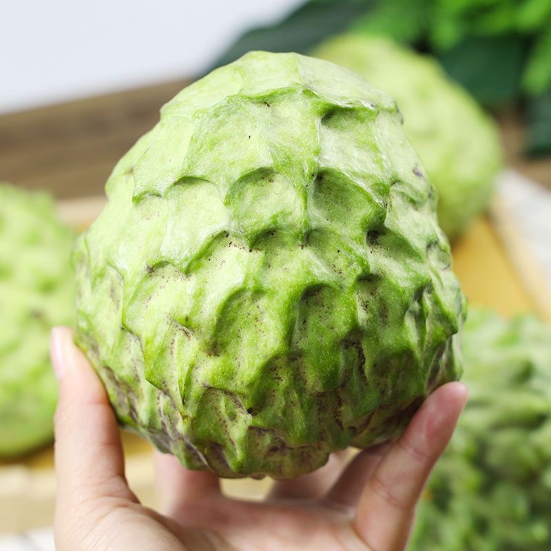 Authentic Milk Jackfruit 2.5kg Whole Box Seasonal Fruit Wholesale with Free Shipping 1.5kg Lychee Pineapple