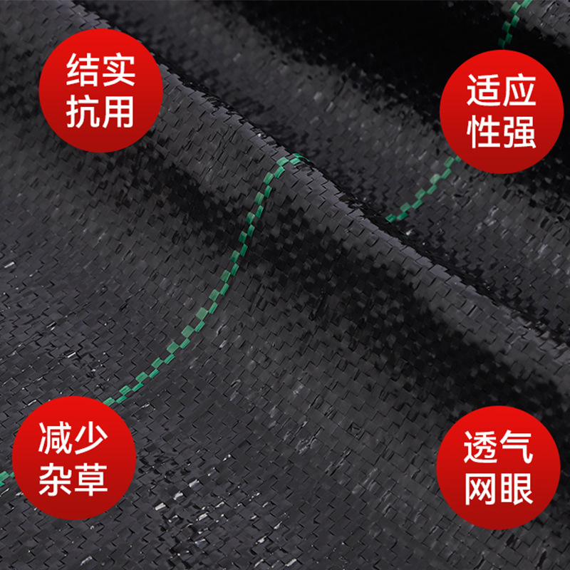 Pp Weed Control Cloth Polypropylene Weed Barrier Agricultural Orchard Bright Black Cloth Weed Control Ground Cover Anti-Aging Treatment