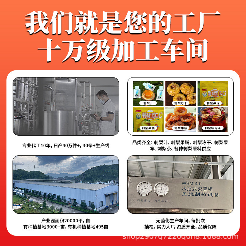 Prickly Pear Puree Liquid Guizhou Prickly Pear Core Production Area Prebiotic Prickly Pear 50ml*10 Bags Oem and Dropshipping