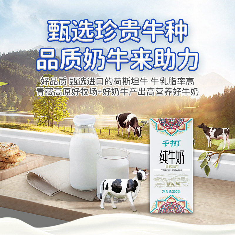 Qianchu Milk Whole box wholesale pure milk whole box 200g * 12 boxes of full-fat student children's breakfast milk box