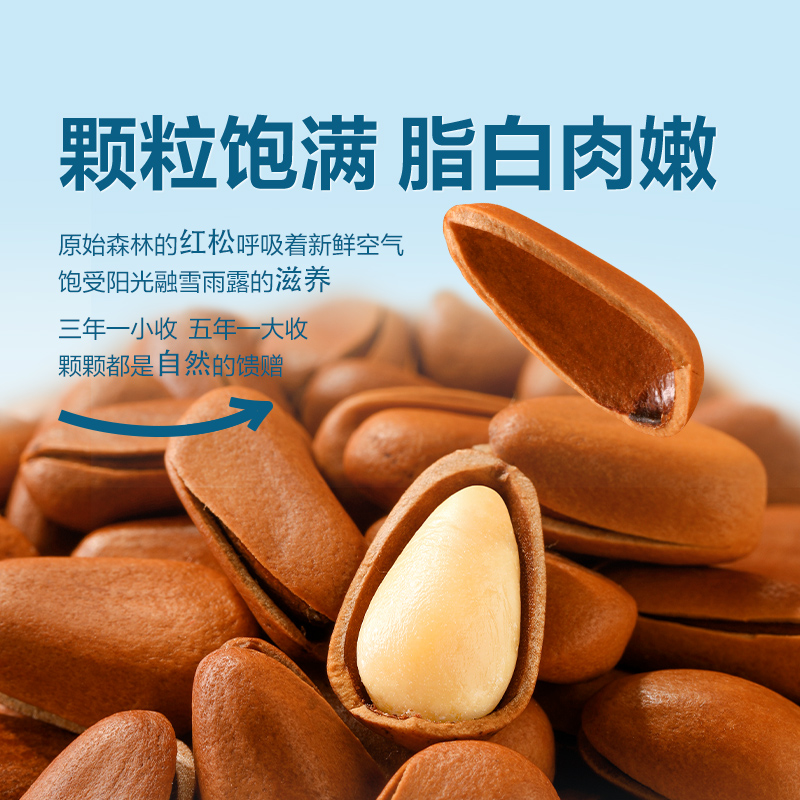 Wholesale and Retail of New Northeastern Pine Nuts in Small Packages, Large Pine Nuts, Hand-Peeled Nut Snacks