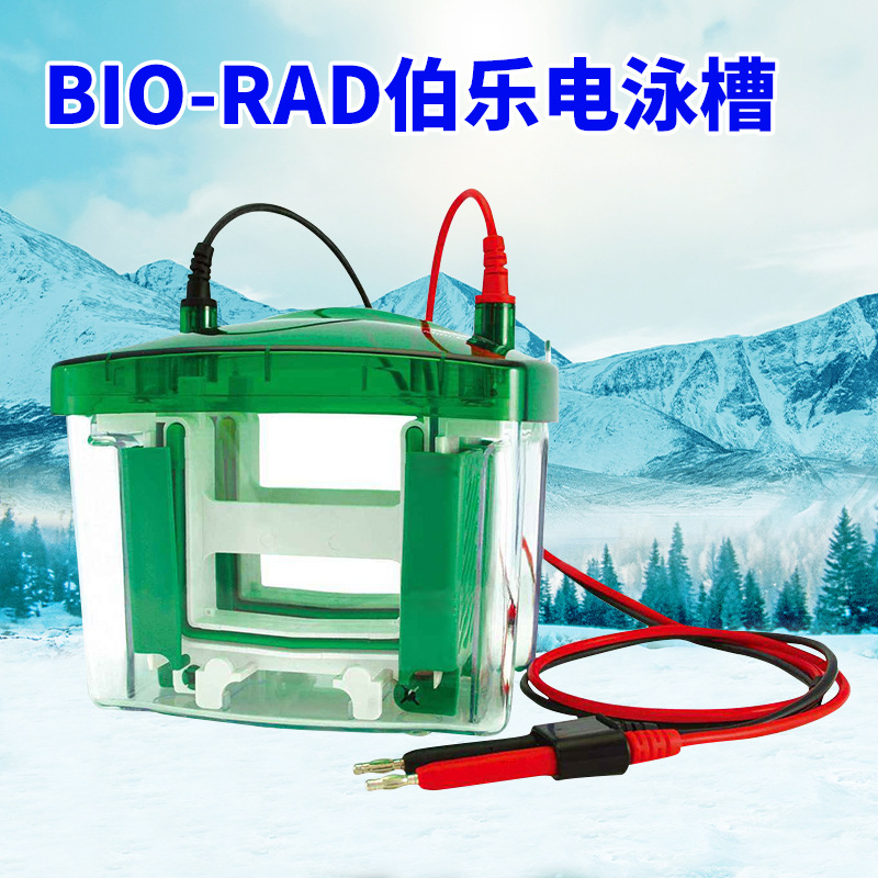Bole Electrophoresis Tank First Grade Agent American Bole BIORAD Vertical Electrophoresis Tank Electrophoresis Instrument Transfer Tank Protein Tank
