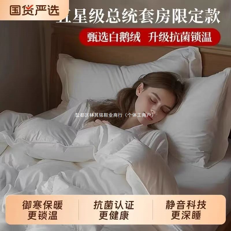 High-End down Quilt 95 White Goose down Winter Quilt Thickeneded Warm Cotton Antibacterial Fluffy Goose down Quilt Spring & Fall Quilt Core