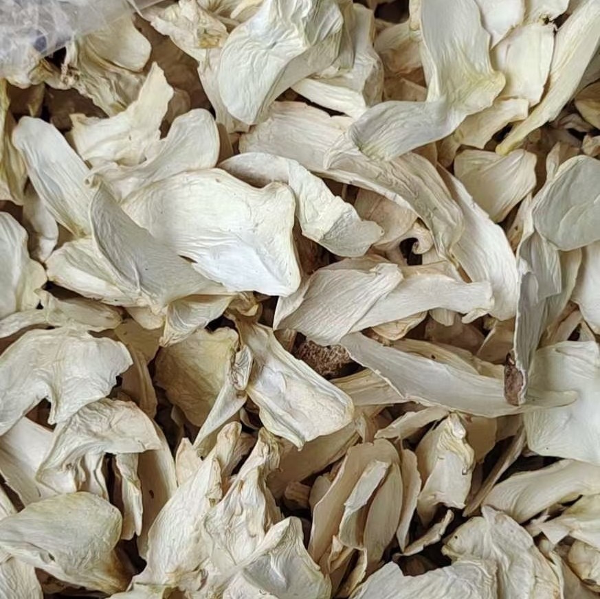 Gutian County Pleurotus eryngii slices 500g Pleurotus eryngii slices dry bulk box wholesale mushroom edible agricultural products