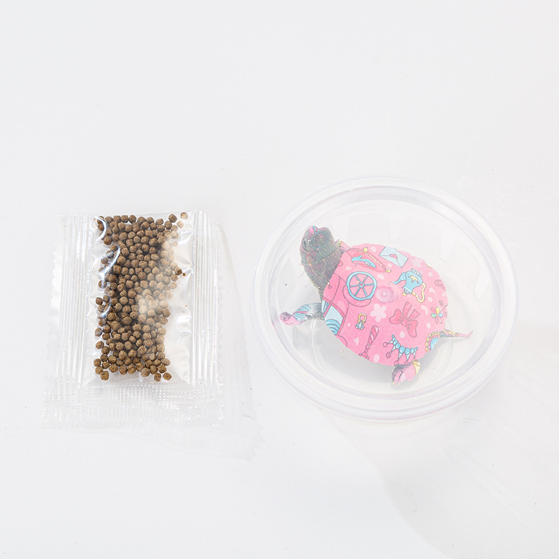 Source factory colorful little turtle Brazilian turtle colorful little turtle live Net red color little turtle ornamental color turtle