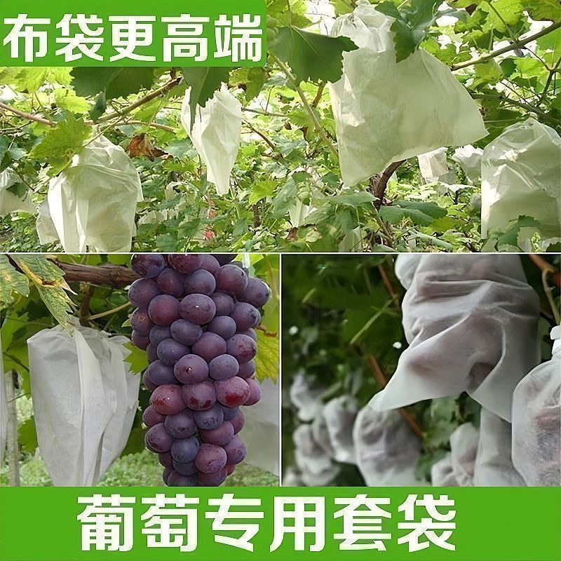 Fruit Bag Insect-Proof Bag Grape Loquat Loquat Mesh Bag Non-Woven Fabric Bird-Proof Melon Fruit Peach Strawberry Bagging Universal Bag