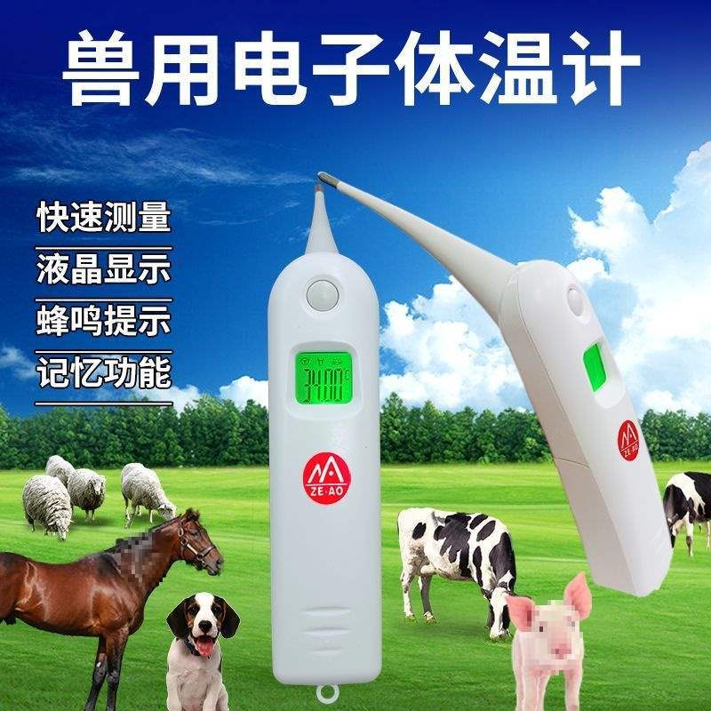 Электронный термометр для крупного рогатого скота, овец и ветеринарного использования, медицинский термометр для домашних животных, термометр для свиней, ректальный термометр