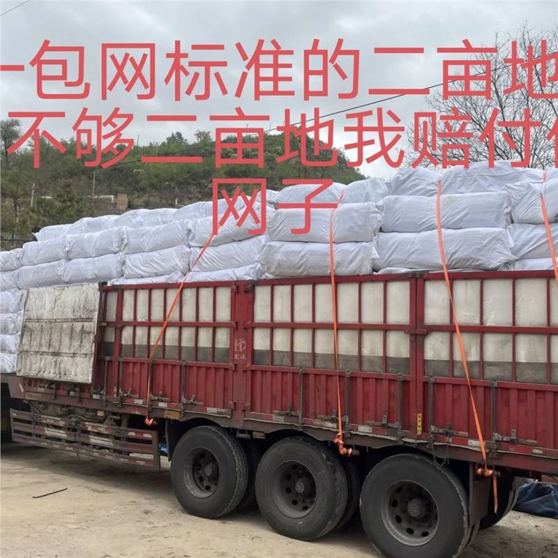 Hail Net Warranty Period Is 8 Years, Orchard Anti-New Net, Vegetable Garden Anti-New Fruit Tree Orchard Anti-New Net, Factory Direct