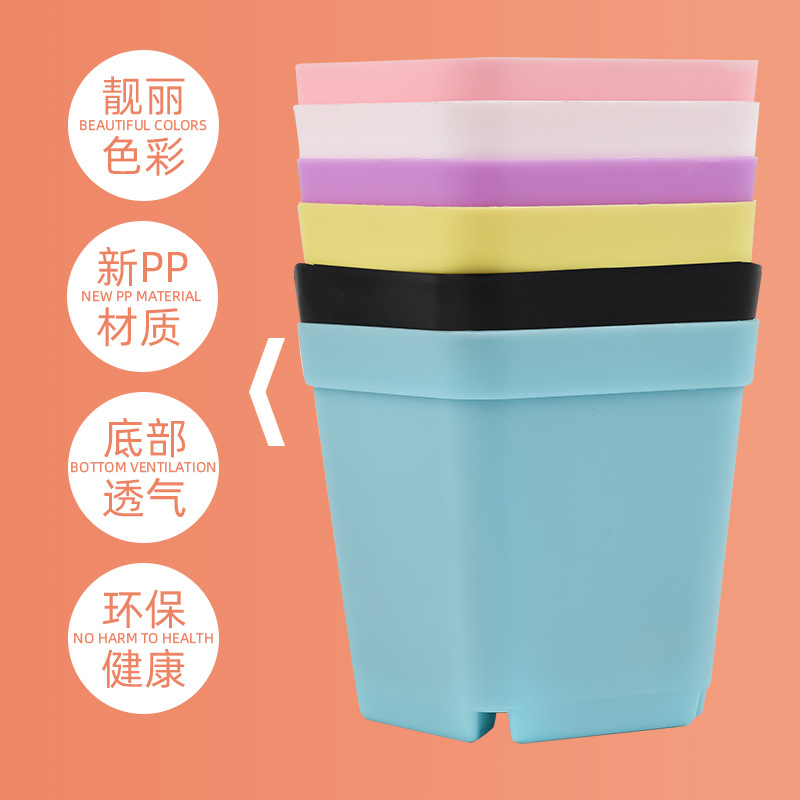 New Small Black Square Wholesale Plastic Flower Pot Mini Colorful Fleshy Flower Pot Seedling Small Square Pot Plant Manufacturers