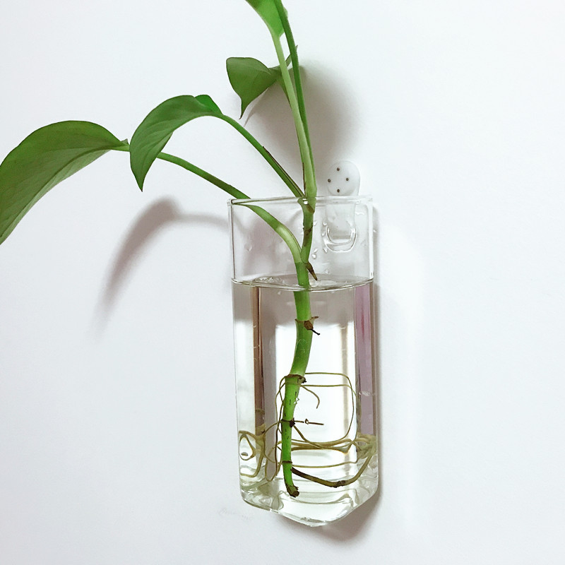 Creative Wall-Mounted Hydroponic Pothos Vase Square Cylindrical Transparent Glass Modern Simple Wall-Mounted Glass Flower Pot