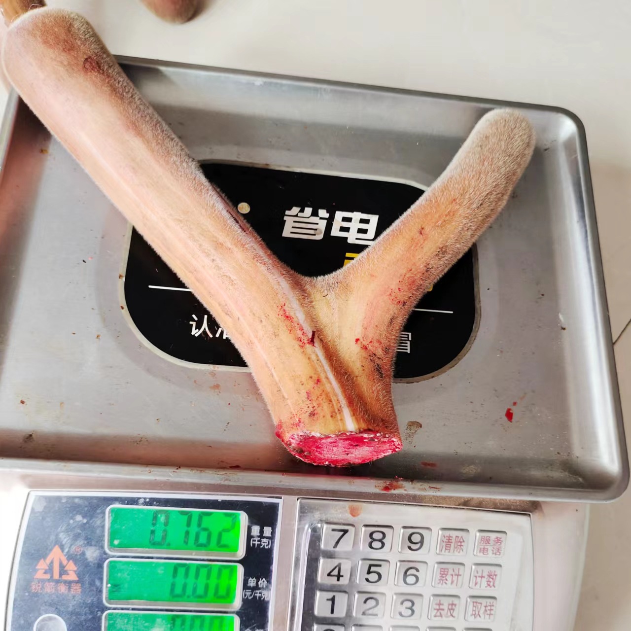 Jilin plum blossom deer antler whole branch fresh antler fresh first crop two bars can be cut with knife slice wine brewing soup medicinal materials