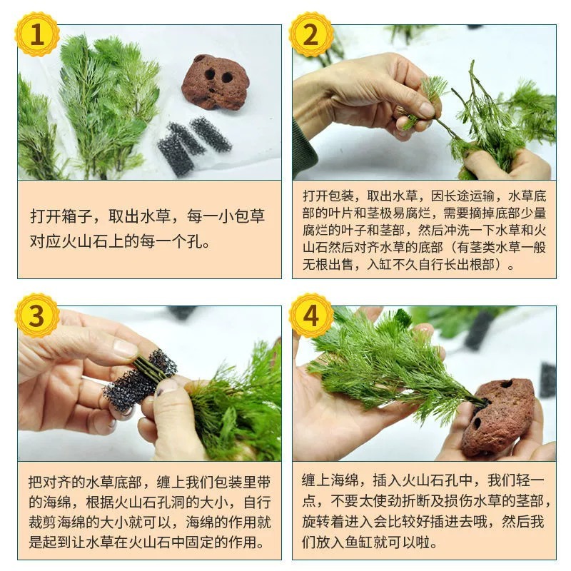 Volcanic Stone Water Grass Centipede Grass Water Banyan Lazy Water Grass Plant Fish Tank Water Grass Landscaping Bottom Sand Package Negative Real Grass