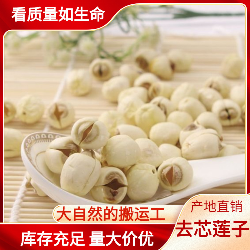 Сельскохозяйственная продукция Хунани семена белого лотоса без сердцевины порошок очищенных семян лотоса оптом крупные частицы фермерского производства