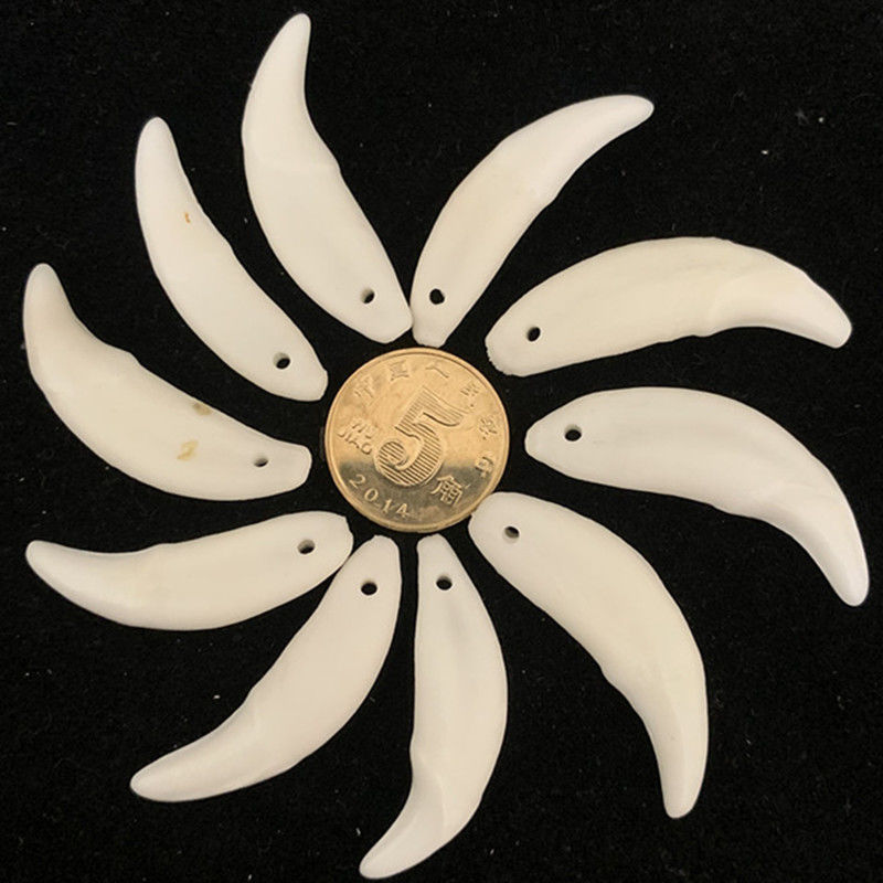 Real Dog Teeth Trendy Personality Wolf Tooth Shape Baby Pendant Accessory Unisex Couple Birthday Gift Black Dog Tooth