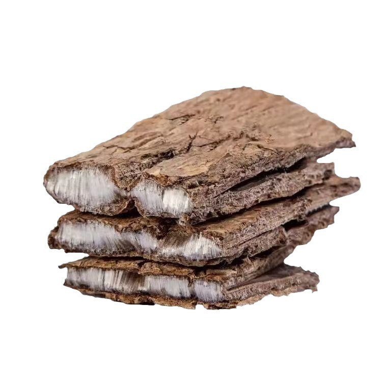 Anguo Spot Wholesale and Retail New Arrivals of Eucommia Ulmoides, Scraped Eucommia Ulmoides, Old Bark Eucommia Ulmoides, Various Specifications and Large Discounts