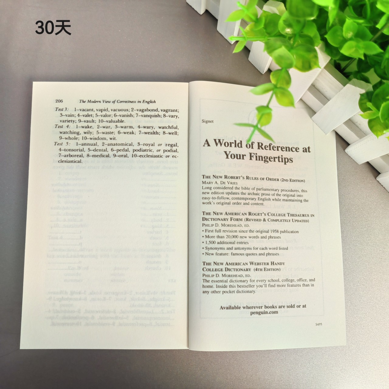 Thirty Days to Better English Lewis English Edition