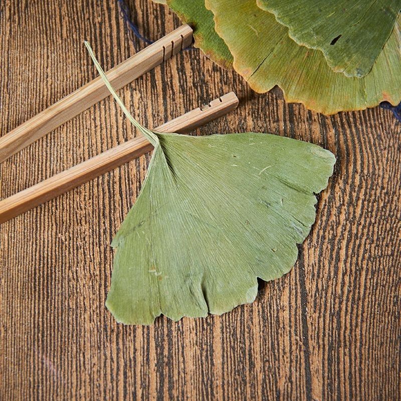 Ginkgo Leaf Tea, Dried Ginkgo Leaves, Premium Quality, Authentic Chinese Herbal Medicine Store, Pre-Packaged Chinese Herbal Medicine, Others