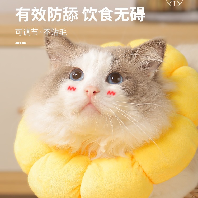 Hot Cross-border Elizabeth Ring Cat Cat Headgear Sterillization Anti-licking Beauty Elizabeth Headgear Pet Collar