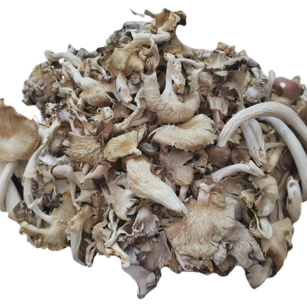 The Origin Is Directly for New Arrivals, Dried Oyster Mushrooms, Bulk Wholesale Abalone Mushrooms, Real Mushrooms, Phoenix Tail Mushrooms, Mushroom Bags, Soup Packets