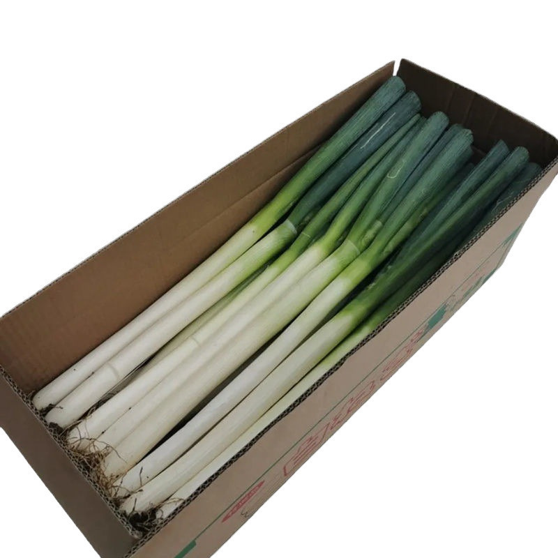 Free Shipping for Shandong Green Onions, Fresh and Tender Self-Onion Wholesale