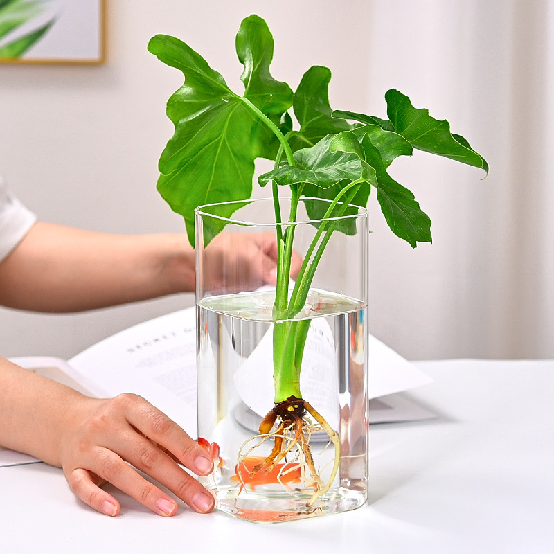 High Borosilicate Ecological Glass Vase, Pothos, Small Fish Tank, Flower Arrangement, Hydroponic Landscape Flower Pot, Vase, Glass Ornaments