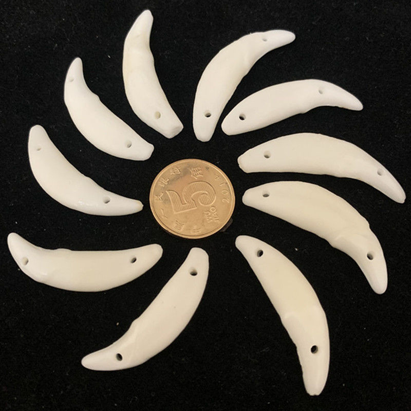 Real Dog Teeth Trendy Personality Wolf Tooth Shape Baby Pendant Accessory Unisex Couple Birthday Gift Black Dog Tooth