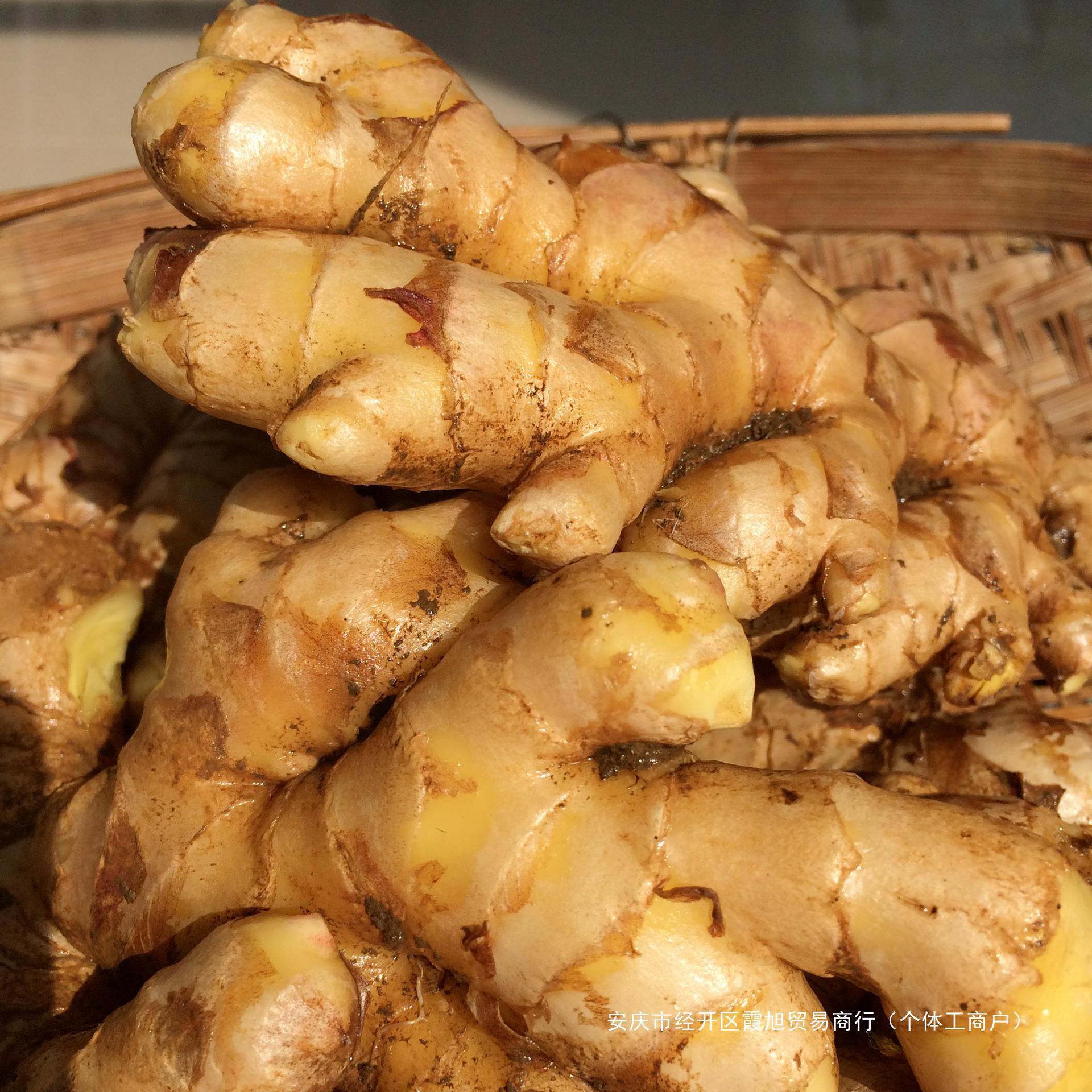 Authentic Ginger from Yunnan, Small Yellow Ginger, Farm Ginger, Native Ginger, Postpartum Ginger, Old Ginger, Fresh Vegetables, Free Shipping, Seasonal 0.5kg