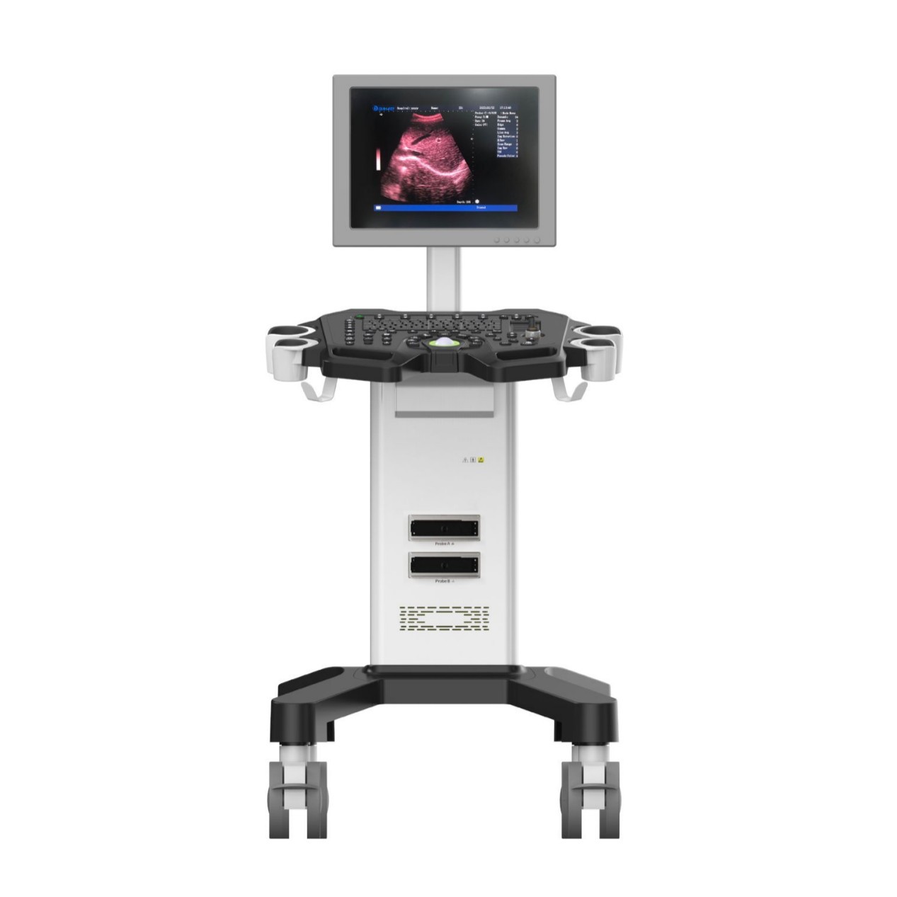 Cross-Border Exclusive Dw-350 Fully Digital Black and White Trolley Ultrasound Diagnostic System Trolley Portable B-Ultrasound Machine