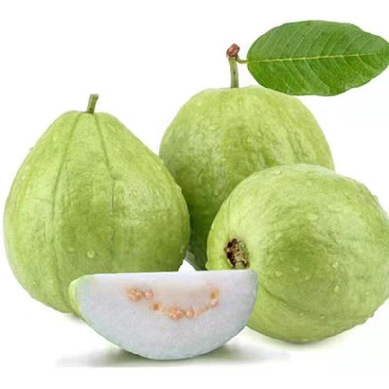 Guava Taiwan Pearl Guava with Sour Plum Powder, Low-Sweetness Crisp Hard Guava for Pregnant Women, Family Pack, Freshly Picked