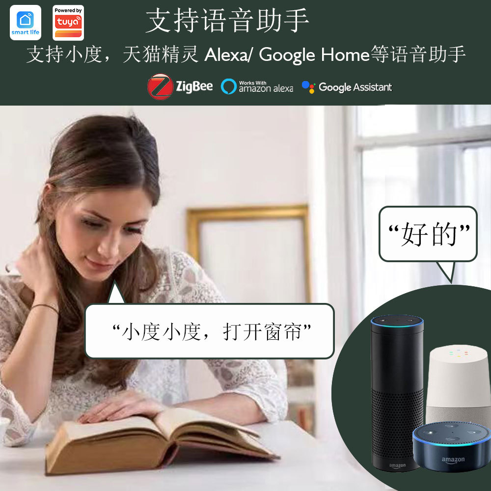 Graffiti zigbee lithium battery smart curtain motor wiring-free rechargeable electric curtain motor Type C 5V