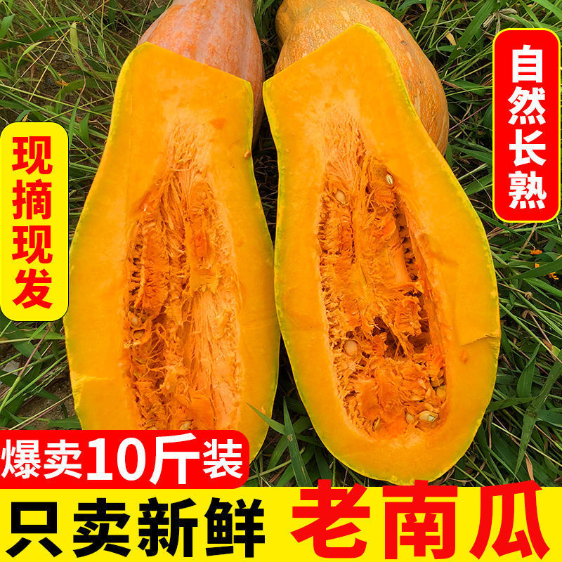 Old Pumpkin Yunnan Plateau Honey Melon, Long and Sweet, Farm Freshly Picked, Direct Supply, Small Sweet Glutinous Cow Leg Wholesale