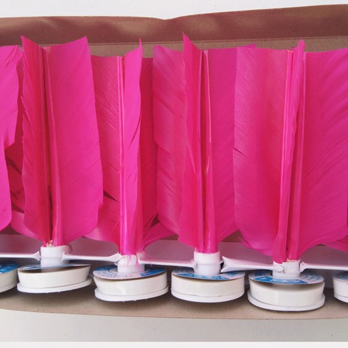 Feather Shuttlecock Net Shuttlecock Student Competition Shuttlecock Four Hair Straight Boxed Shuttlecock Big Flower Shuttlecock Boxed Formulation