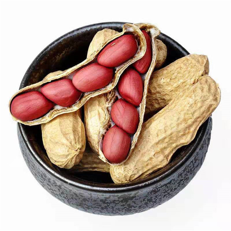 New Arrivals in Season, Wholesale, Four Red Skinned Peanuts in Shells, Sun-Dried Raw, Four Red Peanuts, Farm-Produced One Piece
