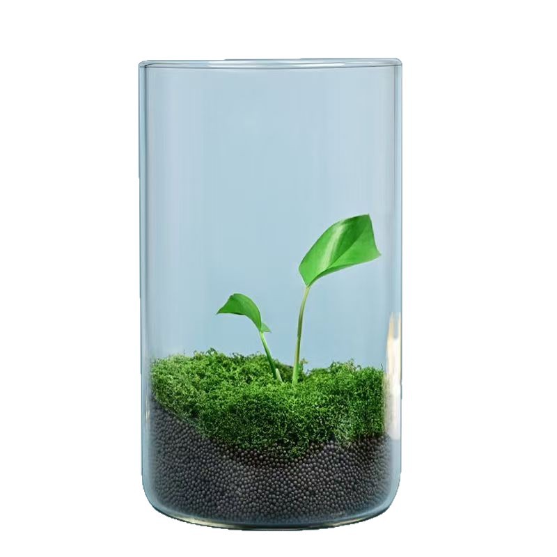 High Borosilicate High Transparency Large Diameter Micro Landscape Bottle Hydroponic Ecological Bottle Glass Betta Fish Tank Aquatic Plant Tank