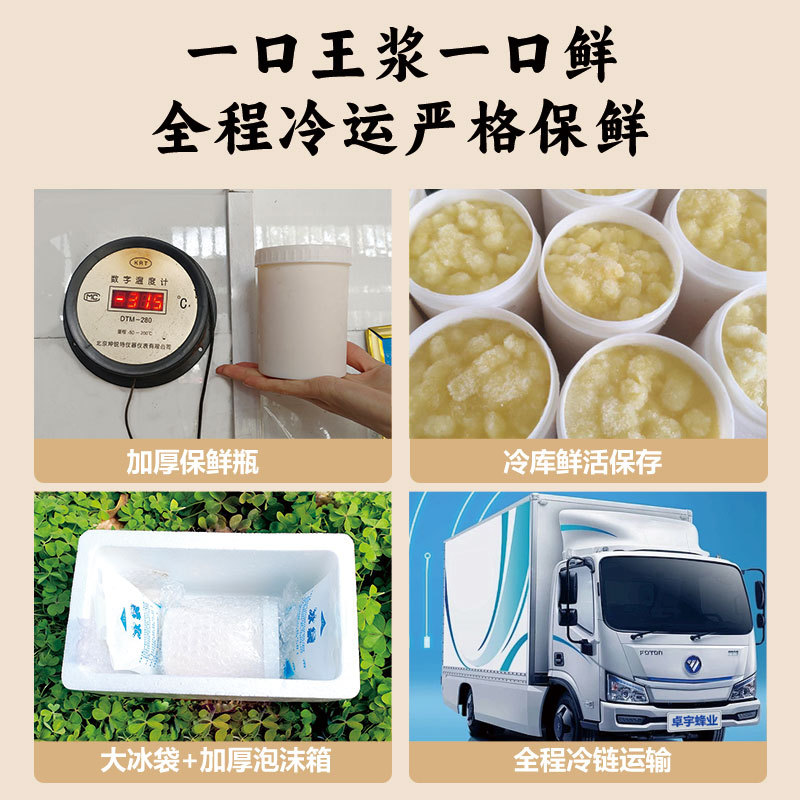 Zhuoyu Royal Jelly Wholesale Qinghai Rapeseed Royal Jelly Bee Milk Bulk Frozen Pure Product 500g Bottled