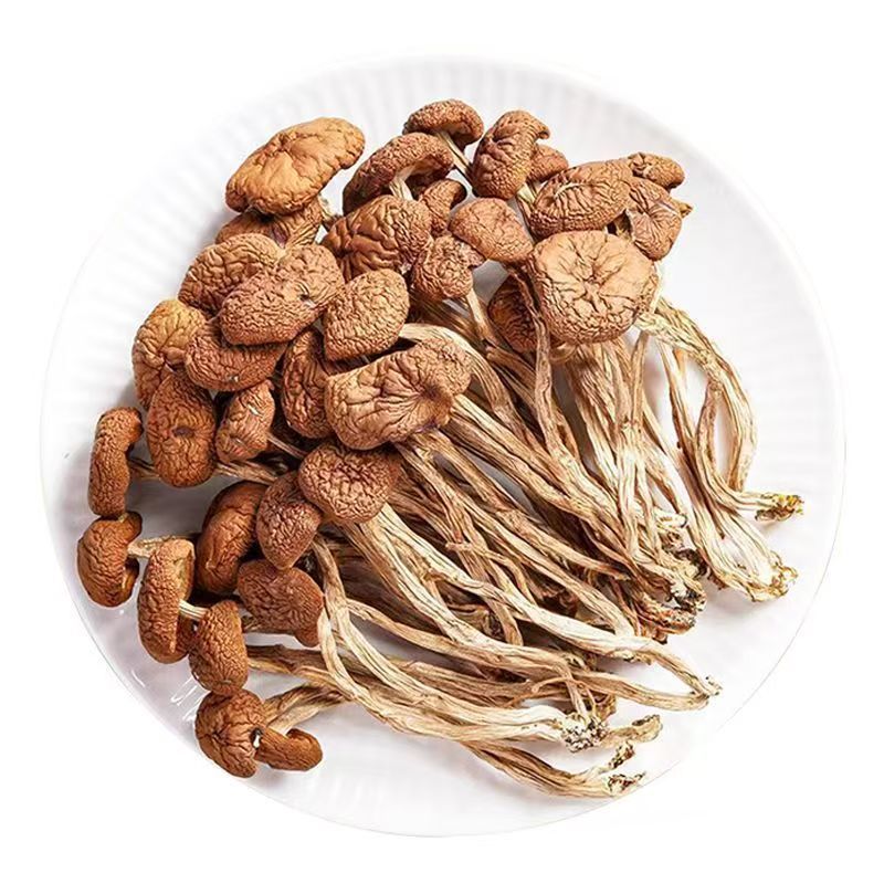 Farm-Grown Specialty Dried Tea Tree Mushrooms, Unopened Mushrooms, Direct Sales from the Manufacturer, Wholesale in Large Quantities, Excellent Ingredients for Soup