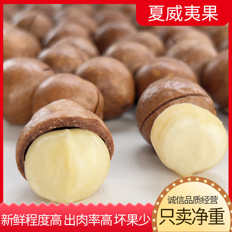 Hawaiian Macadamia Nuts Wholesale, Large Nuts with Opener, Creamy Flavor, New Year's Gift, Pistachios, Free Shipping