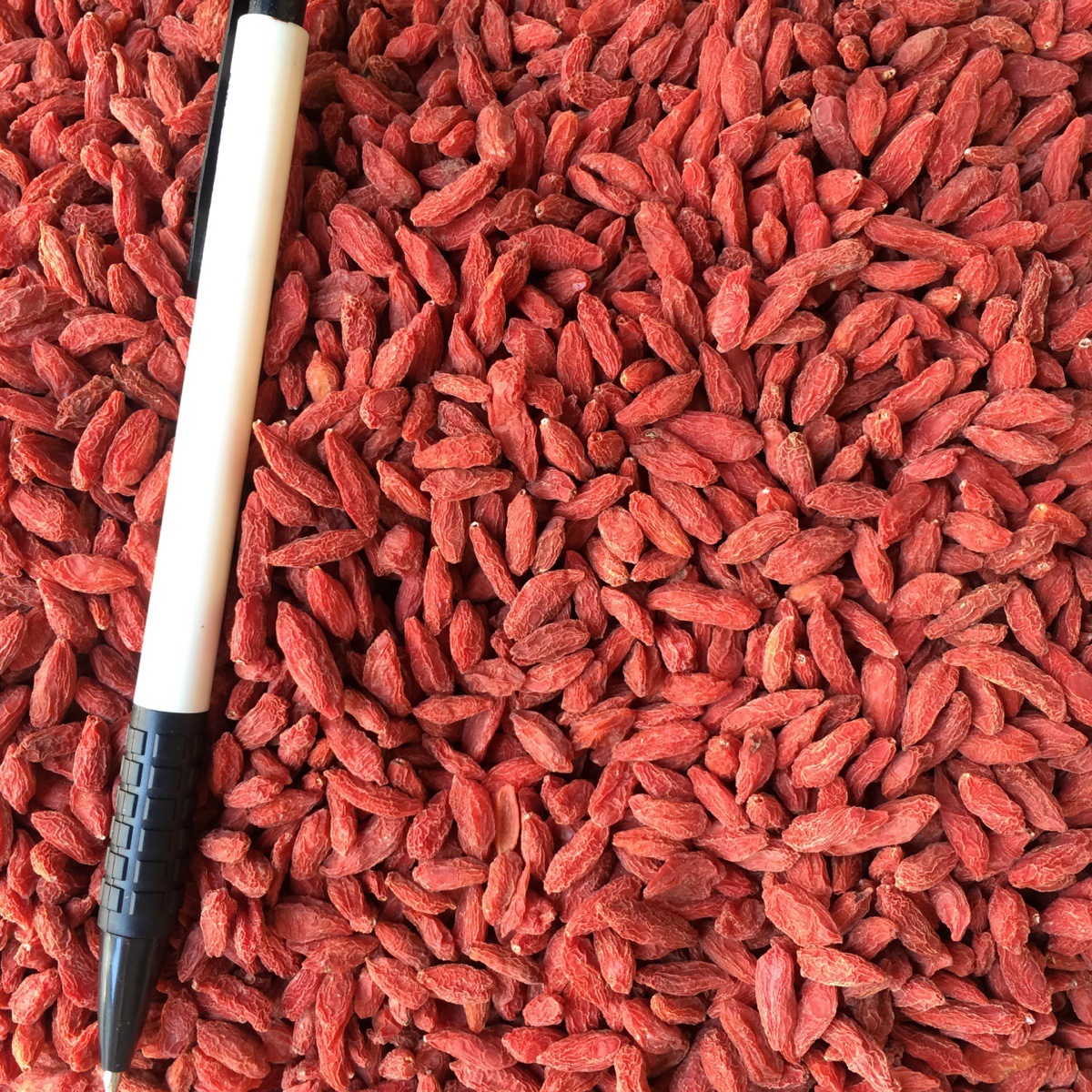 Ningxia Wolfberry Bulk Wholesale Red Wolfberry Clean Bulk Whole Box 20kg Authentic Zhongning Wolfberry 2025 New Arrival