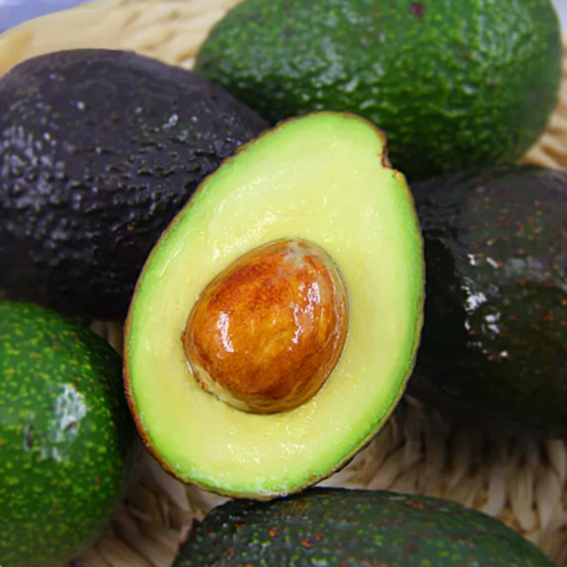 Yunnan Avocado Whole Box Free Shipping Seasonal Fresh Fruit Supplement Avocado Avocado One-Piece Dropshipping
