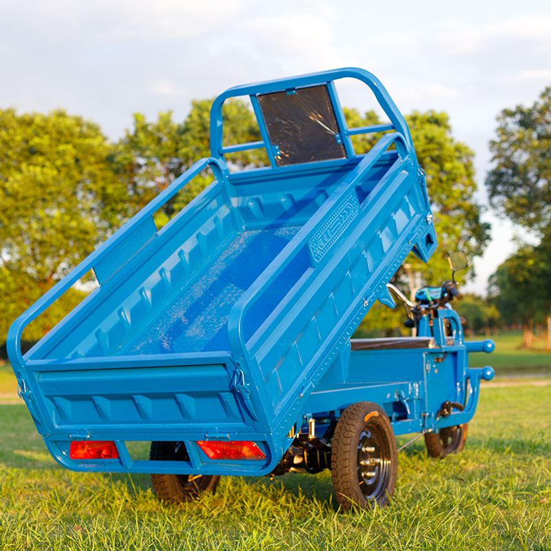 Electric tricycle pull cargo load king three-wheeled electric battery car household large agricultural tricycle stall express