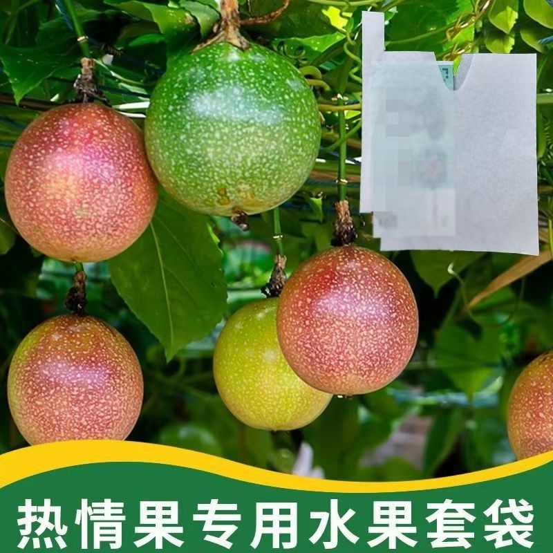 In-Stock Passion Fruit Bags, Dustproof and Insect-Proof, Wholesale Colombian Orchard Bags, Eco-Friendly and Biodegradable