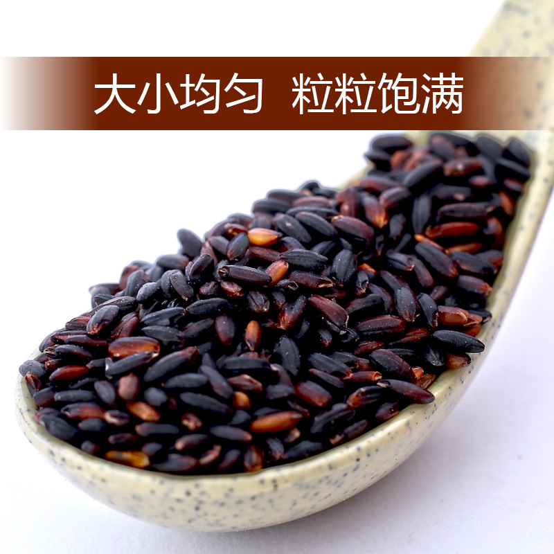 Authentic Northeast Black Glutinous Rice, Blood Glutinous Rice, Purple Rice, Seasonal New Rice, Farm Sticky Rice, Sticky Rice for Making Rice Dumplings and Rice Balls