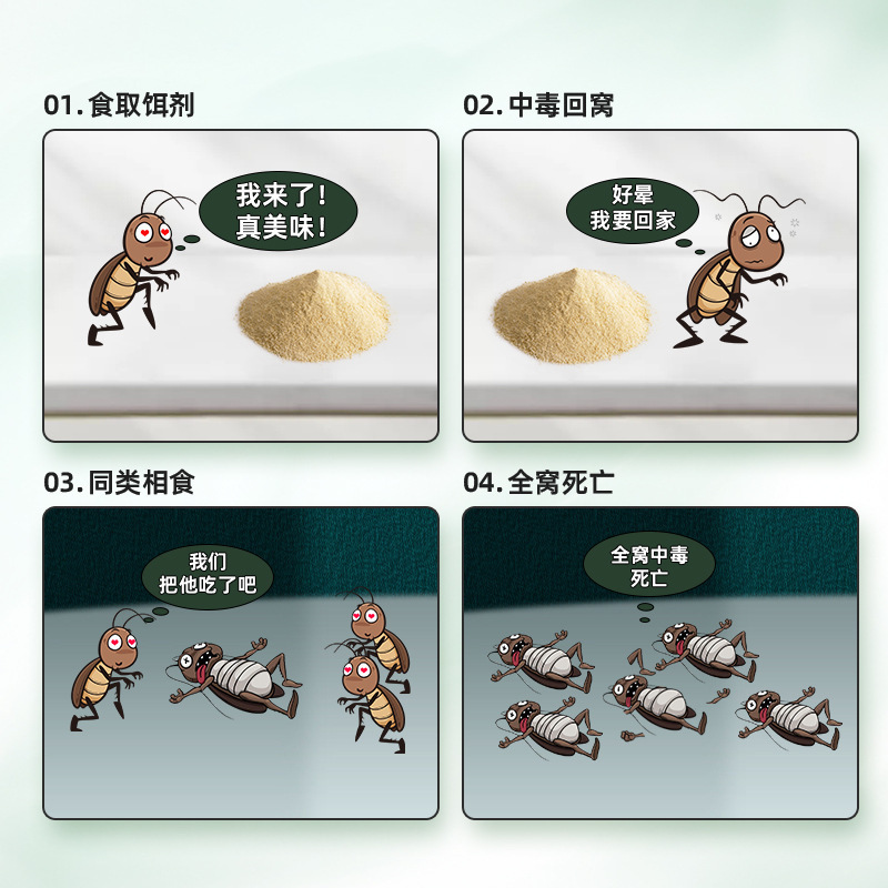 Cockroach Medicine and Ant Medicine Manufacturer Direct Sales of Whole Nest Household Cockroach Bait and Cockroach Trapping Powder